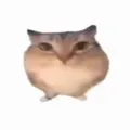 �ͰͲ�һ����2026���°汾v1.0 ���°�