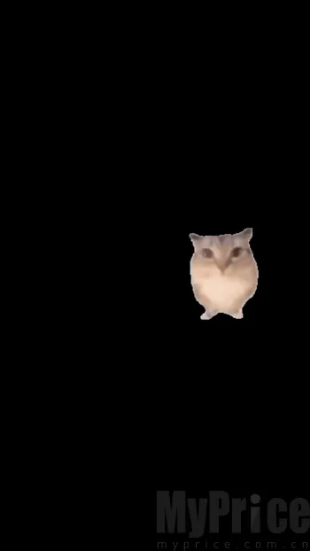 �ͰͲ�һ����2026���°汾