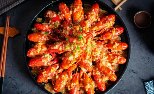 觅食蜂2026最新版本 觅食蜂2026最新版本