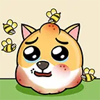 �ҵĹ��������ֻ���v1.0.8.6 ��׿��