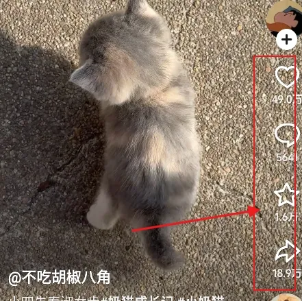 ���2026���°汾