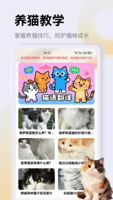 ����è��app(è��һվʽƽ̨)v1.3 ��Ѱ�