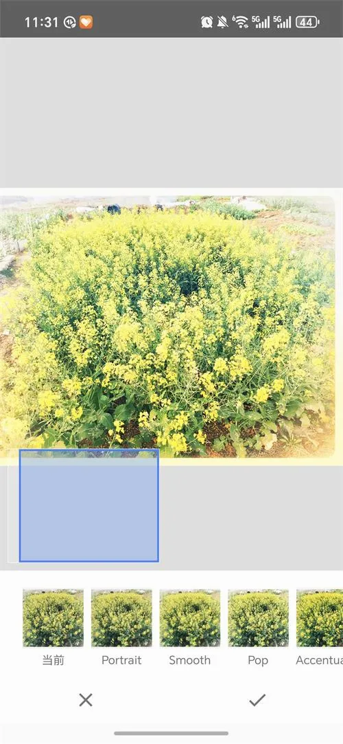 BetterSeed(רҵ��ͼ����)v2.22.0.633363672 ��׿��