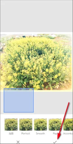 BetterSeed(רҵ��ͼ����)
