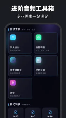 ������ȡAudio��������2026���°汾