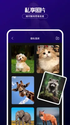 ������˽��������׿���ֻ���v1.0.2 �ٷ���