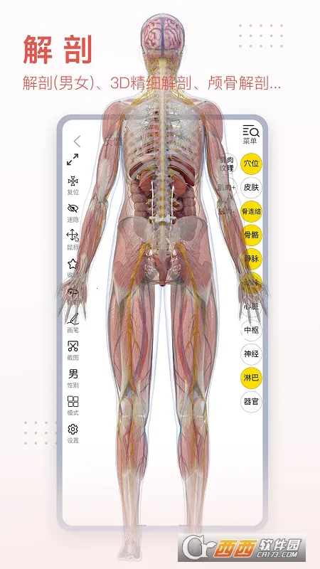 3dbody�������İ�v8.9.30 ��Ѱ�
