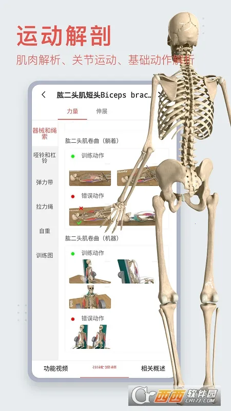 3dbody�������İ�v8.9.30 ��Ѱ�