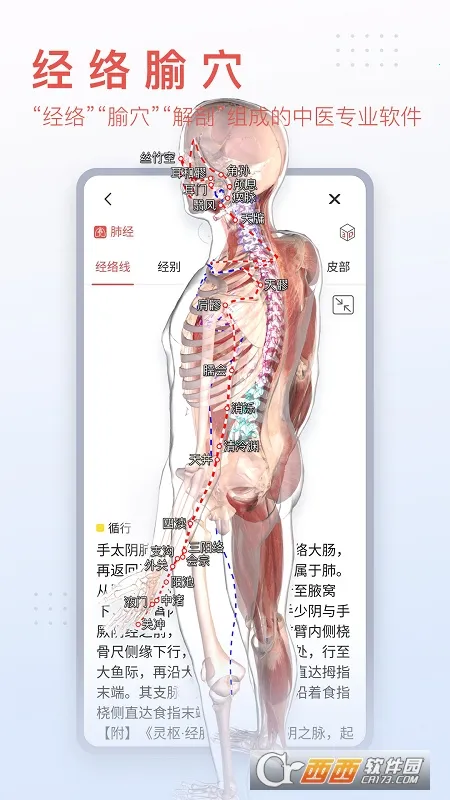 3dbody�������İ�v8.9.30 ��Ѱ�