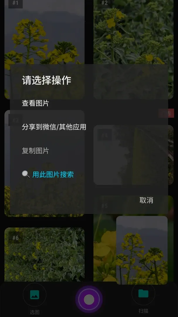 ������ͼ(�ֻ�������ͼ����)v1.0 ���°�