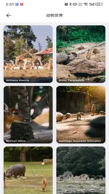 musabay(ά���ֽӰ��app)v1.1.3 ���°�
