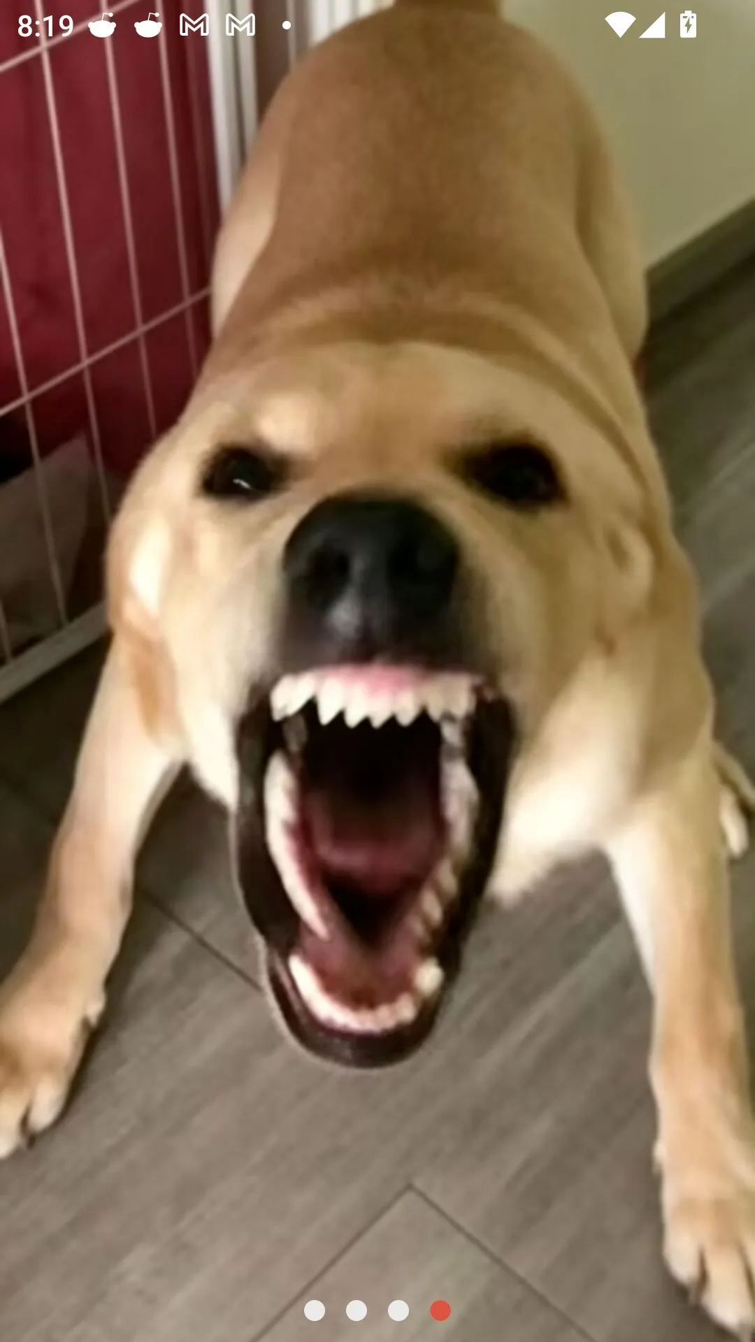 �󹷽���Ϸ������ư�(������ģ����Ϸ)v1.1 �ֻ���