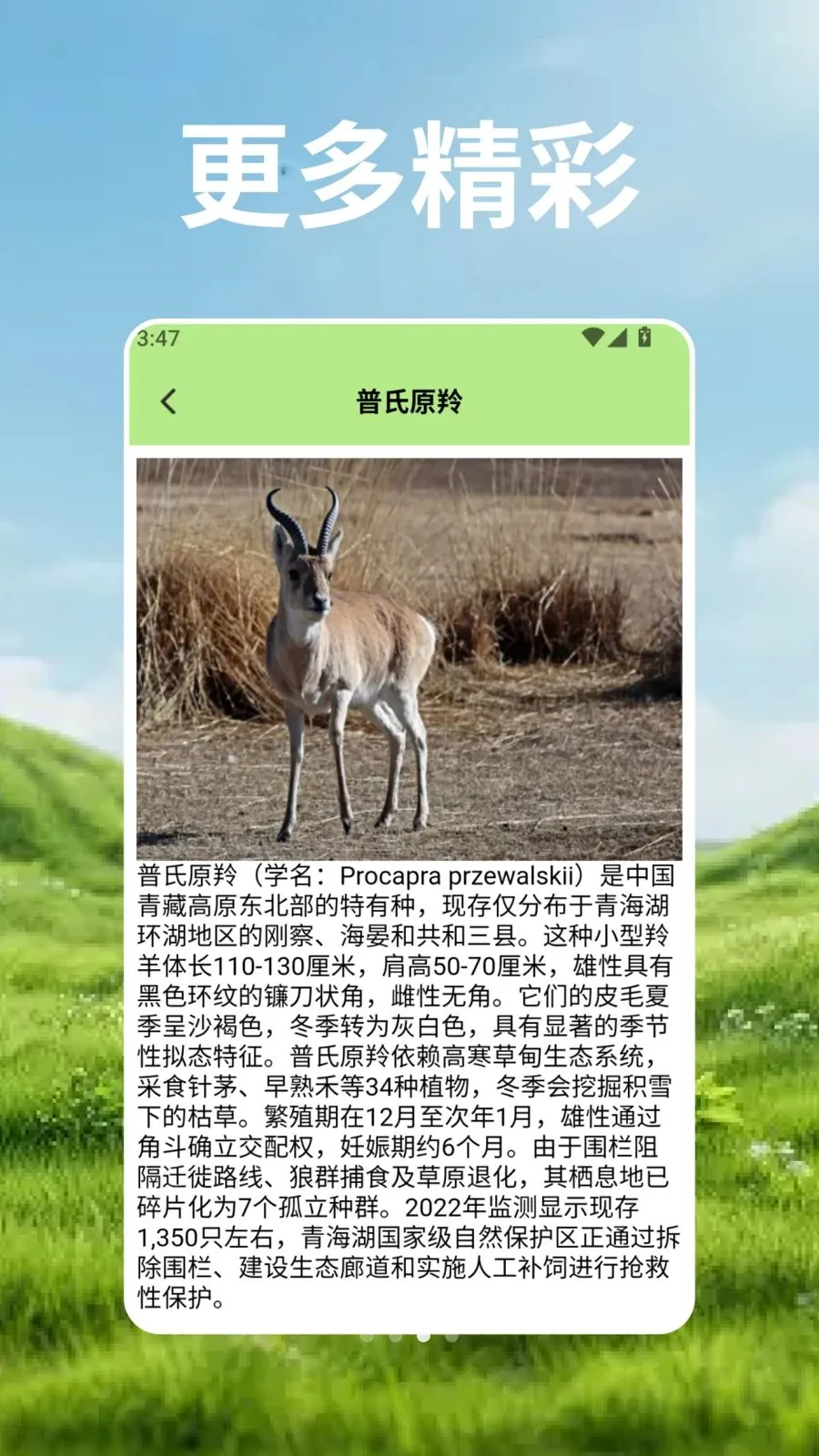 ��Ⱥ�Ŀ�ѧ��(����֪ʶӦ��)v2.3 �ٷ���